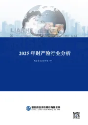 2025年财产险行业分析