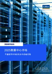 美国研究报告：2025数据中心市场 平衡前所未有的机会与战略风险
