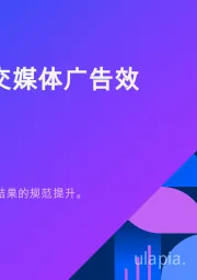2025年社交媒体广告效果
