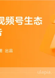 2024年视频号生态洞察报告