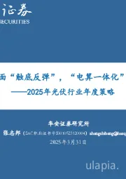 2025年光伏行业年度策略：光伏：基本面“触底反弹”，“电算一体化”新场景兴起