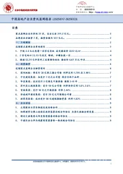 中国房地产企业资讯监测报告