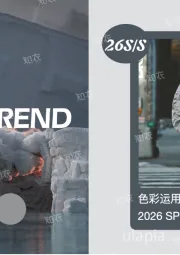 2026 SPRING & SUMMER：色彩运用—迷雾灰色系