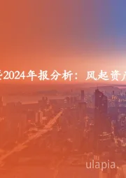 非银金融：险资举牌研究暨2024年报分析：风起资产端