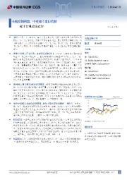 稀土行业政策点评:关税反制利器,中重稀土出口管制