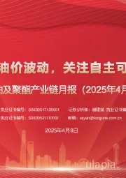 原油及聚酯产业链月报(2025年4月):关税政策引发油价波动,关注自主可控石化链标的