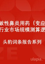 中国过敏性鼻炎用药(变应性鼻炎用药)行业市场规模测算逻辑模型 头豹词条报告系列