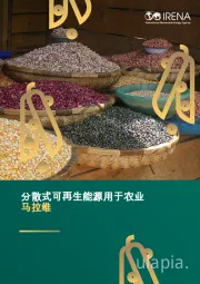 分散式可再生能源用于农业马拉维