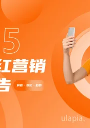 2025海外网红营销生态报告