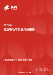 企业竞争图谱:2025年低速电动车 头豹词条报告系列