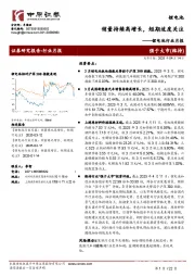 锂电池行业月报:销量持续高增长,短期适度关注