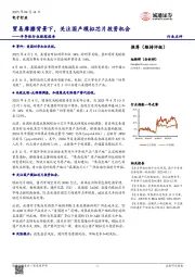 半导体行业跟踪报告:贸易摩擦背景下,关注国产模拟芯片投资机会