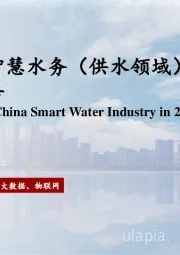 2025年中国智慧水务（供水领域）行业研究报告