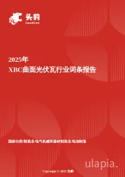 企业竞争图谱:2025年XBC曲面光伏瓦 头豹词条报告系列