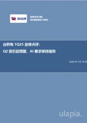 电子行业事项点评：台积电1Q25业绩点评：Q2指引超预期，AI需求保持强劲
