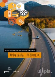 2024年中国汽车行业并购活动回顾及未来展望:鲸涛逐浪,萍影随风