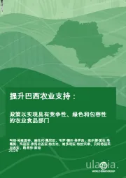提升巴西农业支持：政策以实现具有竞争性、绿色和包容性的农业食品部门