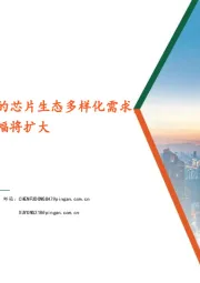 电子行业:RISC-V助力AI驱动下的芯片生态多样化需求,2Q25存储器合约价涨幅将扩大