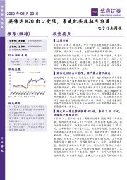 电子行业周报:英伟达H20出口受限,寒武纪实现扭亏为盈