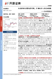 社会服务行业深度报告：生态重构与消费边界突围，IP潮玩步入历史机遇期