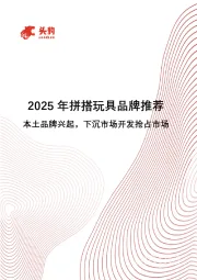 2025年拼搭玩具品牌推荐：本土品牌兴起，下沉市场开发抢占市场