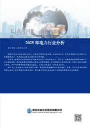 2025年电力行业分析