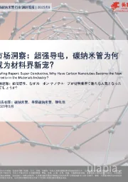 市场洞察：超强导电，碳纳米管为何成为材料界新宠？