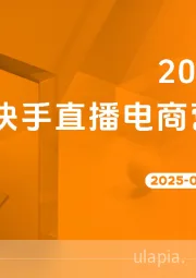 2025年3月快手直播电商营销月报