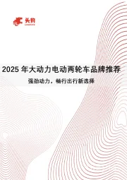 2025年大动力电动两轮车品牌推荐：强劲动力，畅行出行新选择