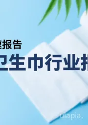 纸品&卫生巾行业报告