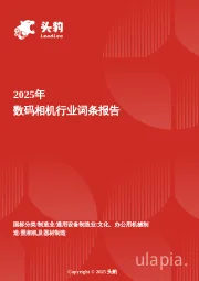 数码相机：记录生活的艺术家，像素与便携性的完美结合 头豹词条报告系列