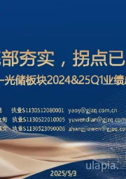 光储板块2024&25Q1业绩总结：底部夯实，拐点已至