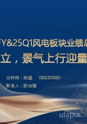 24FY&25Q1风电板块业绩总结:拐点确立,景气上行迎量价齐升