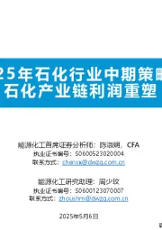 2025年石化行业中期策略：石化产业链利润重塑