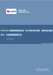 轻工制造24&25Q1跨境电商板块综述：收入增长势头延续，盈利逐步显现压力，行业格局或显著分化