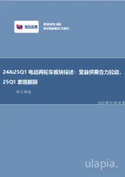 24&25Q1电动两轮车板块综述：受益供需合力拉动，25Q1表现靓丽