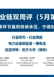 锂电产业链双周评(5月第1期):一季度铁锂隔膜等环节盈利持续承压,宁德时代发布电池新品