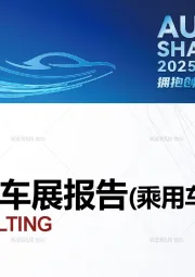 2025上海车展报告（乘用车篇）