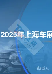 2025年上海车展分析报告