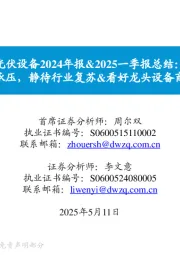 光伏设备2024年报&2025一季报总结：业绩阶段承压，静待行业复苏&看好龙头设备商穿越周期