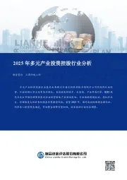 2025年多元产业投资控股行业分析