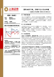 基础化工行业周报:国际油价下跌,25Q1化工行业回暖