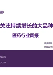 医药行业周报：关注持续增长的大品种