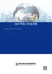 2025年化工行业分析