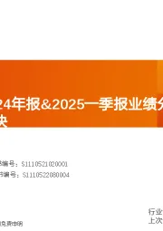 医药行业2024年报&2025一季报业绩分析——医疗服务板块