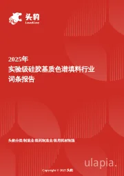 企业竞争图谱：2025年实验级硅胶基质色谱填料 头豹词条报告系列