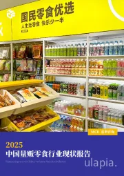 2025中国量贩零食行业现状报告