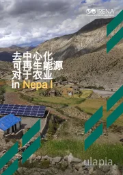 去中心化可再生能源对于农业in Nepa l