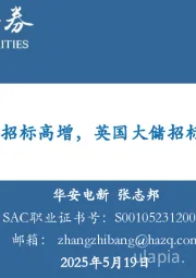 电新：国内大储招标高增，英国大储招标超预期