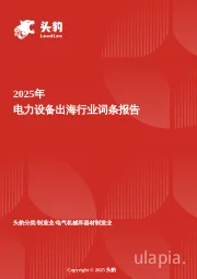 电力设备出海：全球能源转型下的中国机遇与挑战 头豹词条报告系列